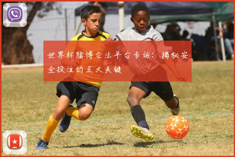 世界杯赌博合法平台专访：揭秘安全投注的五大关键