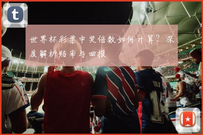 世界杯彩票中奖倍数如何计算?深度解析赔率与回报