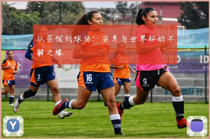 从茶馆到球场:苗阜与世界杯的不解之缘