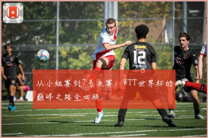 从小组赛到7号决赛，WTT世界杯的巅峰之路全回顾。