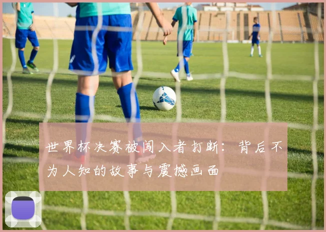 世界杯决赛被闯入者打断：背后不为人知的故事与震撼画面